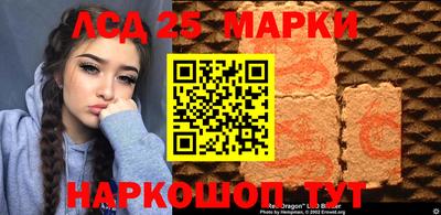 СК Шелехов