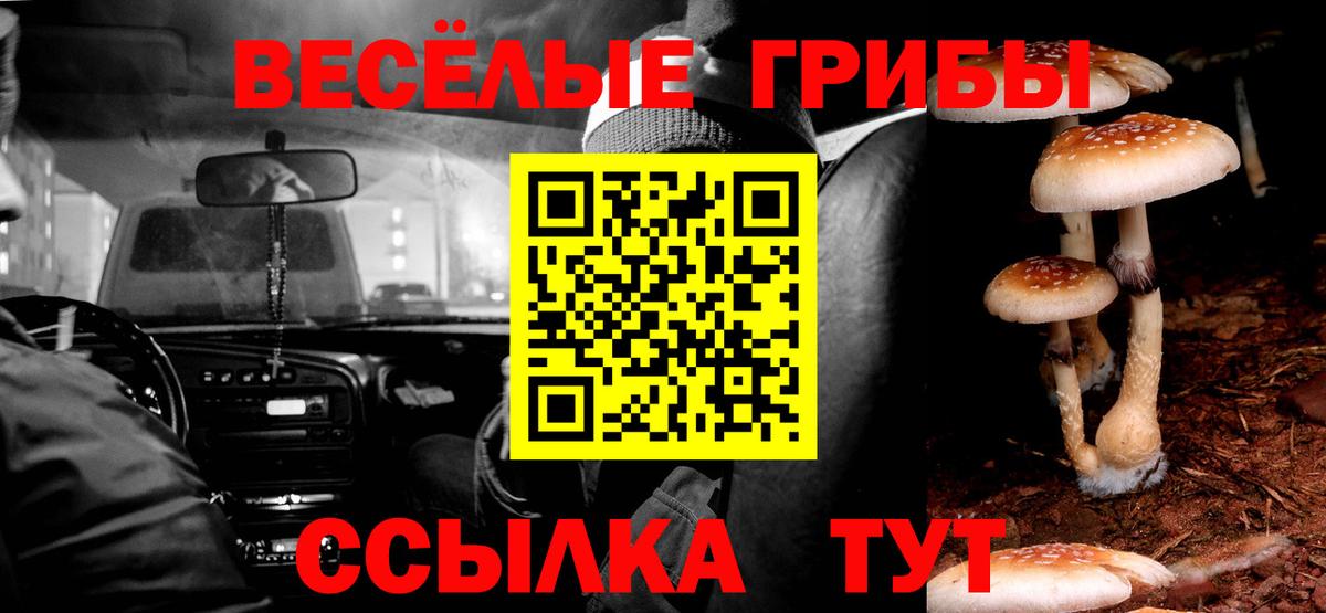 Надым  Псилоцибиновые грибы Cubensis  Вход с VPN 