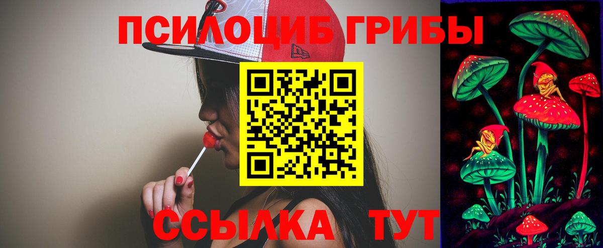Галлюциногенные грибы Cubensis Надым